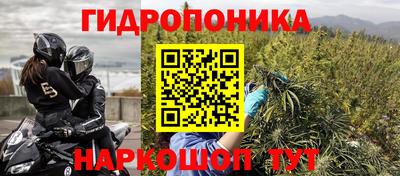 СК Краснодар